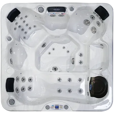 Avalon EC-849L hot tubs for sale in Meridian