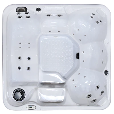 Hawaiian PZ-636L hot tubs for sale in Meridian